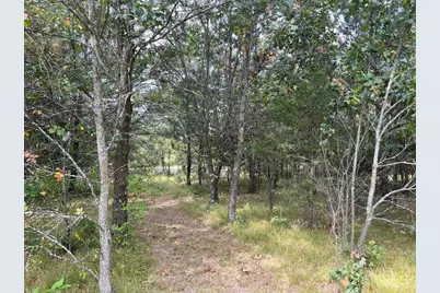 33 Acres 10th Avenue, Adams, WI 53910 - Photo 19