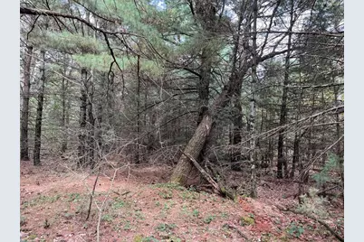 33 Acres 10th Avenue, Adams, WI 53910 - Photo 45