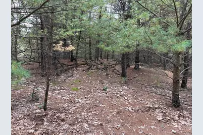 33 Acres 10th Avenue, Adams, WI 53910 - Photo 49