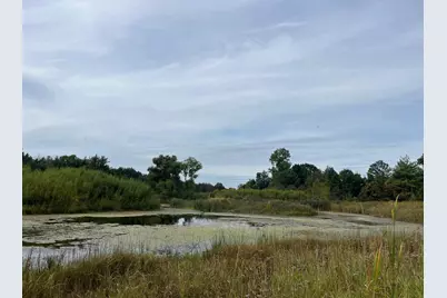 33 Acres 10th Avenue, Adams, WI 53910 - Photo 13