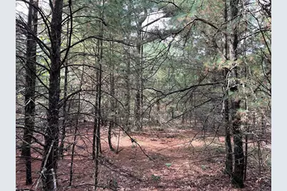 33 Acres 10th Avenue, Adams, WI 53910 - Photo 23