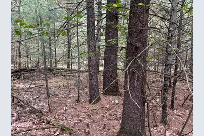 33 Acres 10th Avenue, Adams, WI 53910 - Photo 47