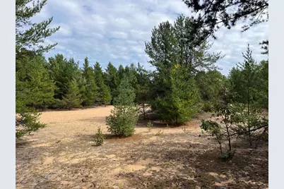 33 Acres 10th Avenue, Adams, WI 53910 - Photo 29