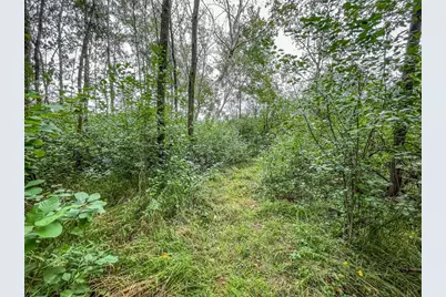 9205 Woehrle Lane, Marshfield, WI 54449 - Photo 35