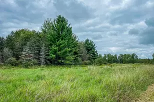 9205 Woehrle Ln, Marshfield, WI 54449 - Photo 53