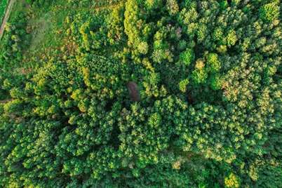 9205 Woehrle Lane, Marshfield, WI 54449 - Photo 67