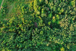 9205 Woehrle Ln, Marshfield, WI 54449 - Photo 67