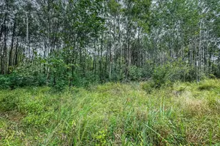 9205 Woehrle Ln, Marshfield, WI 54449 - Photo 41