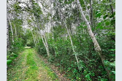 9205 Woehrle Lane, Marshfield, WI 54449 - Photo 49