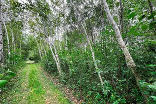 9205 Woehrle Ln, Marshfield, WI 54449 - Photo 49