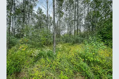 9205 Woehrle Lane, Marshfield, WI 54449 - Photo 39