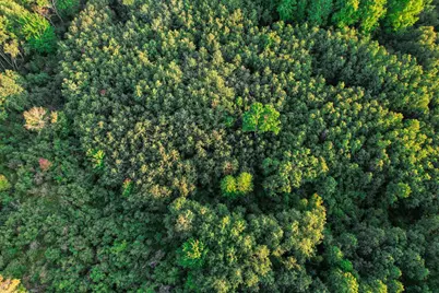 9205 Woehrle Lane, Marshfield, WI 54449 - Photo 65