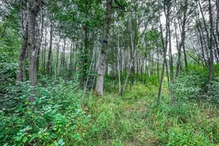 9205 Woehrle Ln, Marshfield, WI 54449 - Photo 45