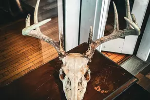 9205 Woehrle Ln, Marshfield, WI 54449 - Photo 27