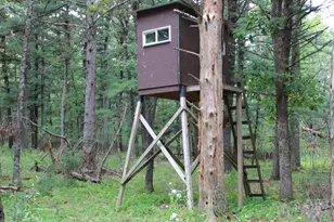 1835 10th Ave, Friendship, WI 53934 - Photo 51