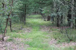 1835 10th Ave, Friendship, WI 53934 - Photo 61