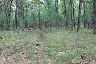 1835 10th Ave, Friendship, WI 53934 - Photo 65