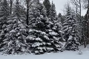 1835 10th Ave, Friendship, WI 53934 - Photo 67