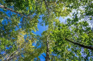 N7690 Hwy 12 and 16, Camp Douglas, WI 54618 - Photo 89