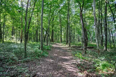 N7690 Highway 12 and 16, Camp Douglas, WI 54618 - Photo 83