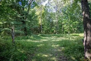 N7690 Hwy 12 and 16, Camp Douglas, WI 54618 - Photo 85