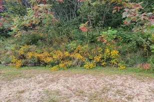 S6327 Hwy 154, Hillpoint, WI 53937 - Photo 21