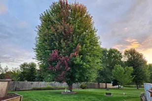 409 Savannah Trail, Pardeeville, WI 53954 - Photo 3