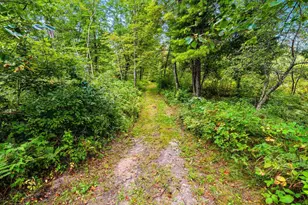 458 County Rd O, Hancock, WI 54943 - Photo 85