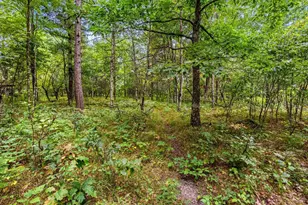 458 County Rd O, Hancock, WI 54943 - Photo 67