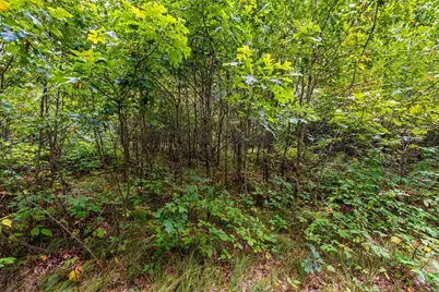 458 County Road O, Hancock, WI 54943 - Photo 75