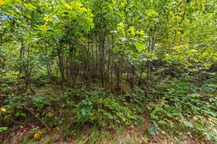 458 County Rd O, Hancock, WI 54943 - Photo 75