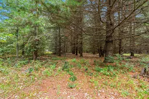 458 County Rd O, Hancock, WI 54943 - Photo 53