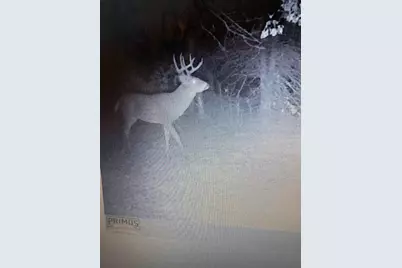 458 County Road O, Hancock, WI 54943 - Photo 7