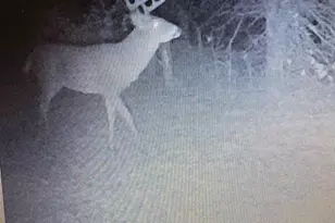 458 County Rd O, Hancock, WI 54943 - Photo 7