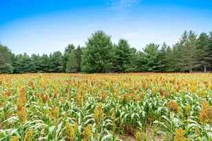 458 County Rd O, Hancock, WI 54943 - Photo 59