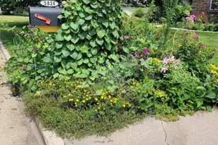 5834 Persimmon Dr, Fitchburg, WI 53711 - Photo 89