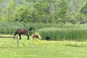 33486 Driftwood Ave, Warrens,warrens, WI 54666 - Photo 41