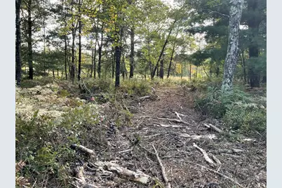 33486 Driftwood Avenue #B, Warrens,warrens, WI 54666 - Photo 69