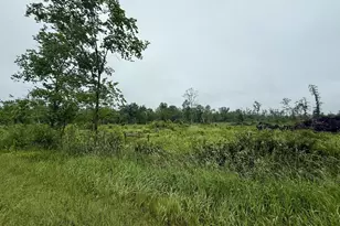 33486 Driftwood Ave, Warrens,warrens, WI 54666 - Photo 57