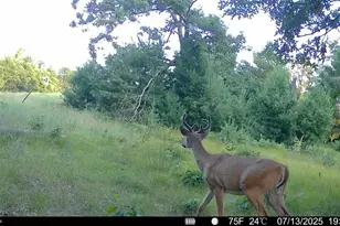 33486 Driftwood Ave, Warrens,warrens, WI 54666 - Photo 67