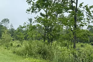 33486 Driftwood Ave, Warrens,warrens, WI 54666 - Photo 55