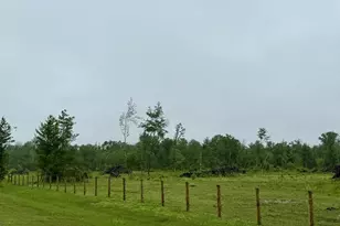 33486 Driftwood Ave, Warrens,warrens, WI 54666 - Photo 49