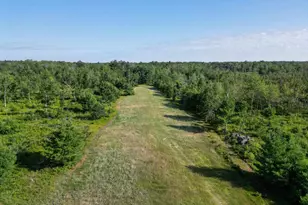 33486 Driftwood Ave, Warrens,warrens, WI 54666 - Photo 61