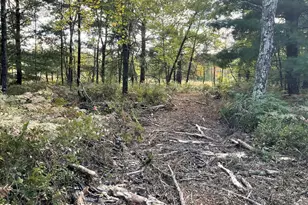 33486 Driftwood Ave, Warrens,warrens, WI 54666 - Photo 65