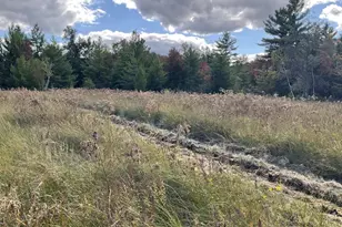 33486 Driftwood Ave, Warrens,warrens, WI 54666 - Photo 67