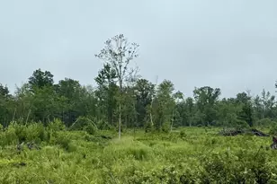 33486 Driftwood Ave, Warrens,warrens, WI 54666 - Photo 53