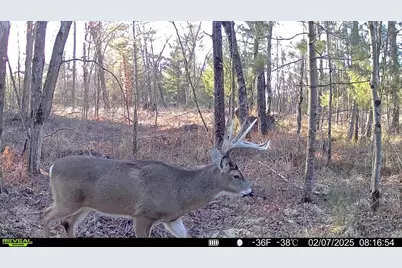 33486 Driftwood Avenue #C, Warrens,warrens, WI 54666 - Photo 67