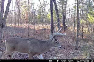 33486 Driftwood Ave, Warrens,warrens, WI 54666 - Photo 67