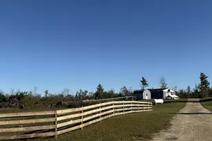 33486 Driftwood Ave, Warrens,warrens, WI 54666 - Photo 3