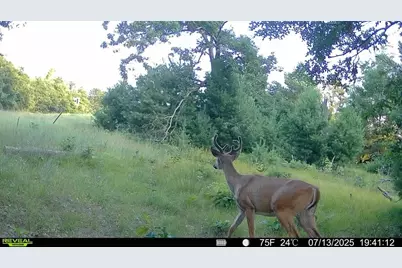 33486 Driftwood Avenue, Warrens,warrens, WI 54666 - Photo 63